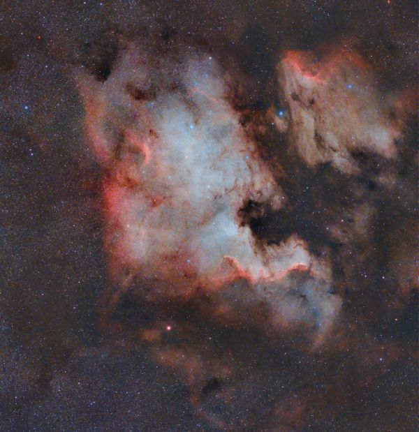 America with the Pelican - Astrophotography