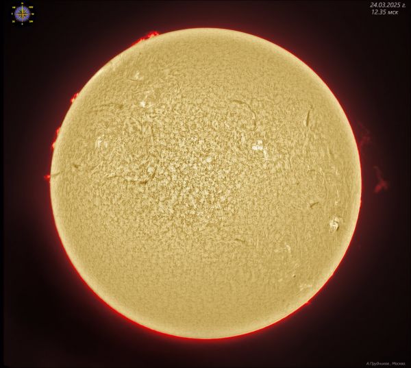 Chromosphere of the Sun on March 24, 2025. - Astrophotography