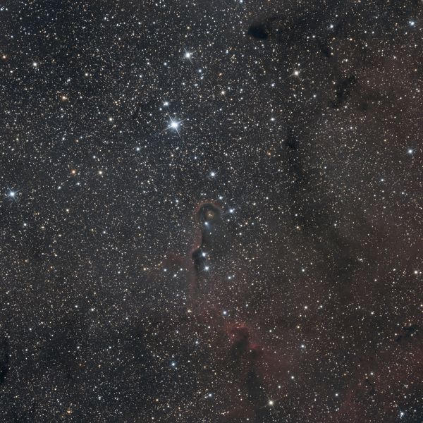 IC 1396 - Elephant Trunk Nebula - Astrophotography