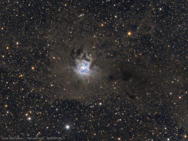 The Iris Nebula (NGC 7023). - Astrophotography