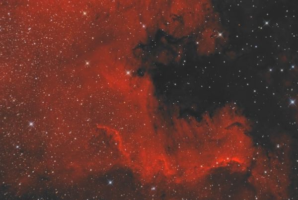 North America Nebula (NGC 7000) - Astrophotography