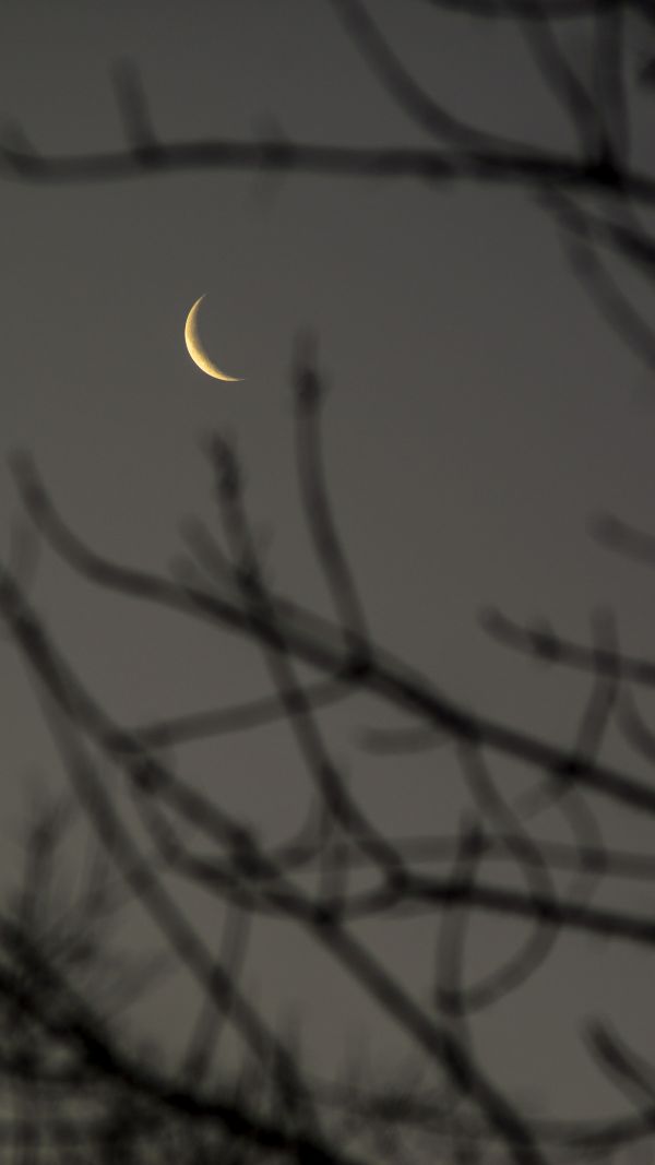 Waning Moon, 16% illuminated - Astrophotography