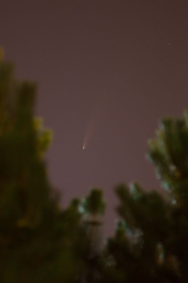 NEOWISE - Astrophotography