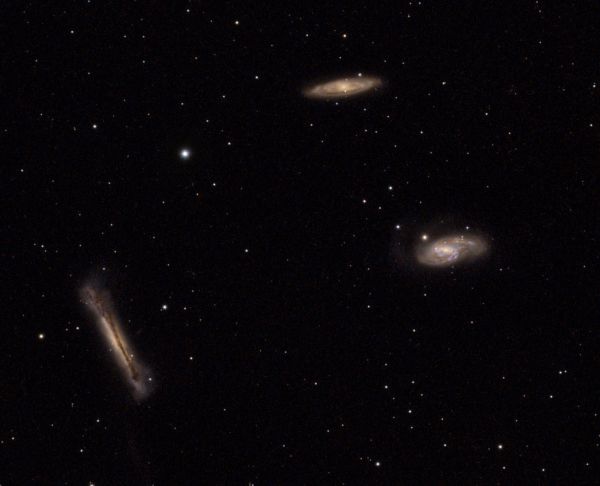 Leo Triplet (M 65, M 66, NGC 3628) - Astrophotography