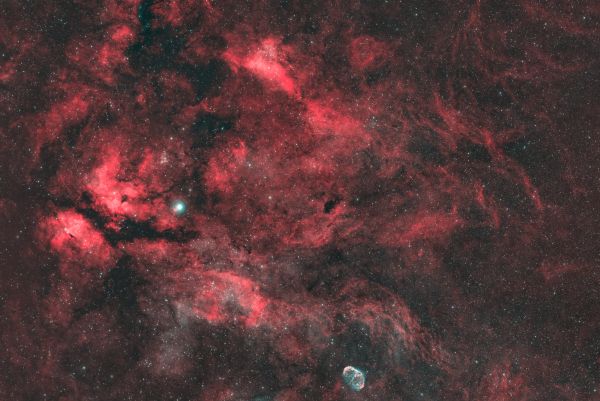 IC1318 Vicinity of Sadr - Astrophotography