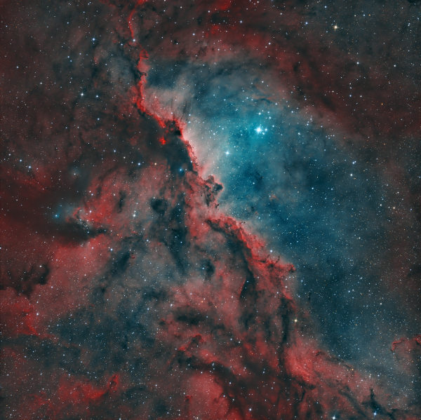 NGC 6193 - Fighting dragons of Ara - Astrophotography