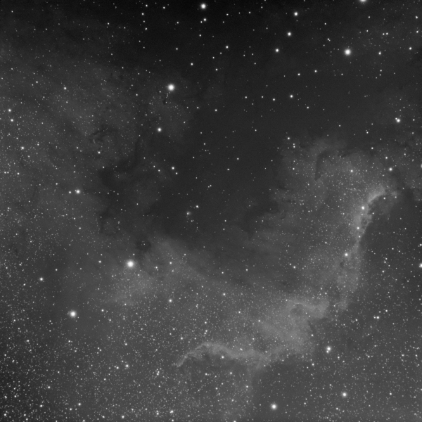 North America Nebula NGC 7000 monochrome - Astrophotography