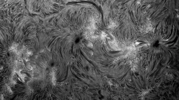 Animation of the active region 19-02-2025 - Astrophotography