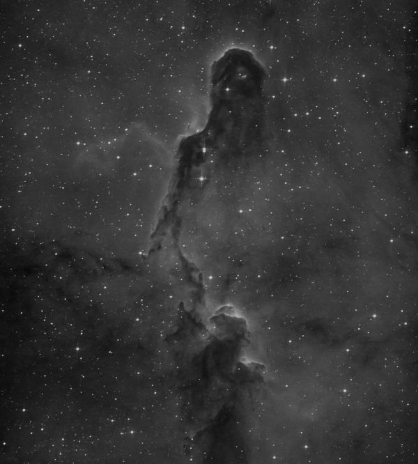 IC 1396, Elephant's Trunk nebula - Astrophotography