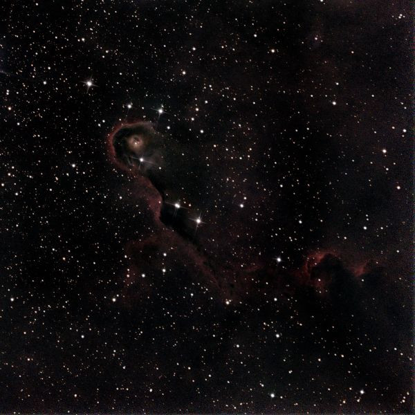 IC 1396A