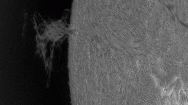 Animation of a prominence on February 25, 2025 - Astrophotography