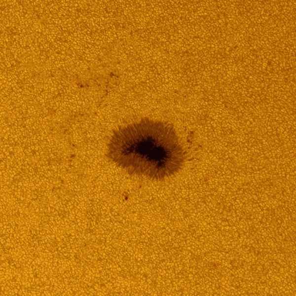Granulation motion on the Sun over 35 minutes in sunspot region 3321 - Astrophotography