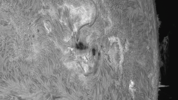 Half an hour in the life of AR 3780 - Astrophotography