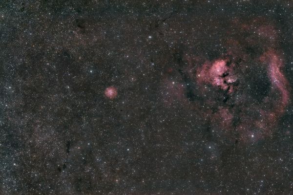 NGC 7822 - Astrophotography