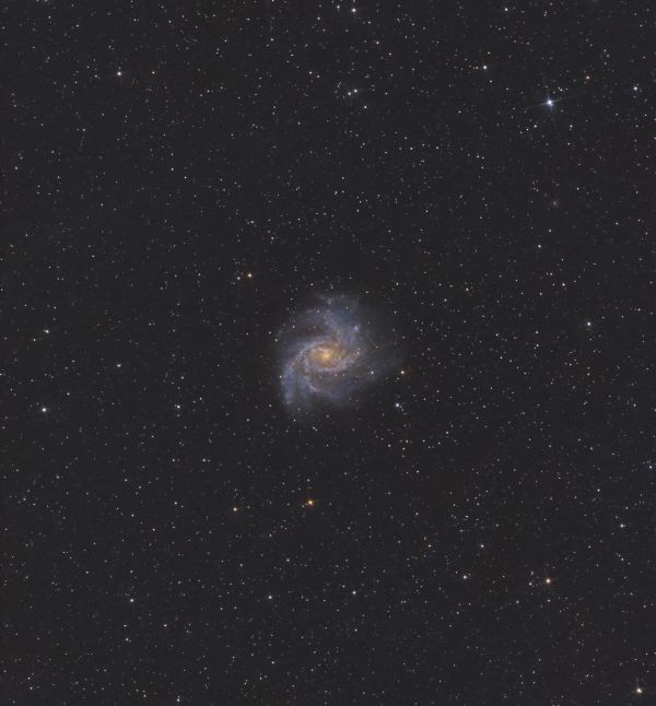 NGC 6946 - Astrophotography