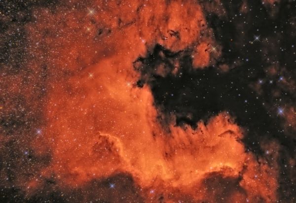 North America Nebula (NGC 7000) - Astrophotography