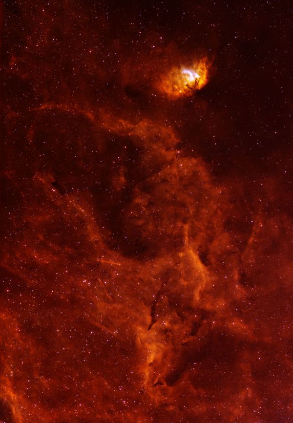 The Sh2-101 Tulip Nebula - Astrophotography