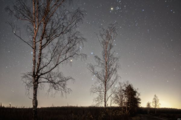 The Hidden Hunter of the Pleiades - Astrophotography