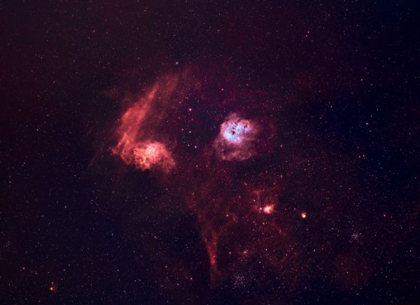 Flaming Star, Tadpoles, Starfish Cluster, and Pinwheel. - Astrophotography