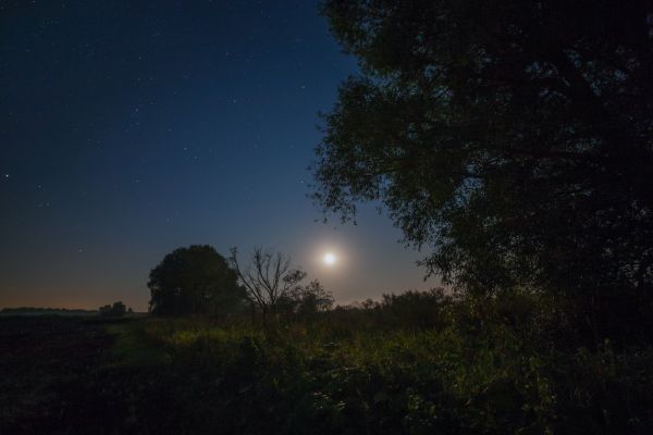 Moonlight - Astrophotography