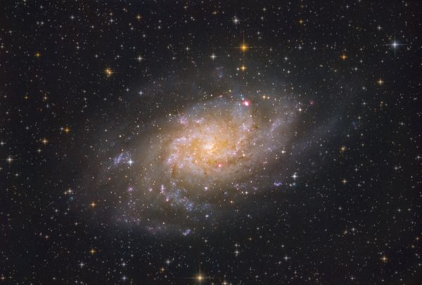 The Triangulum Galaxy (M33) - Astrophotography