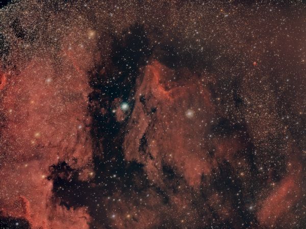 IC 5070 Pelican Nebula - Astrophotography