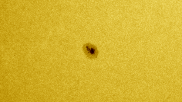 Sunspot 3001 - Astrophotography