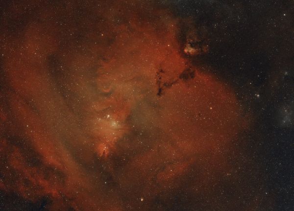 IC 447 Traditional Christmas Tree on Christmas Night. Well almost... - Astrophotography
