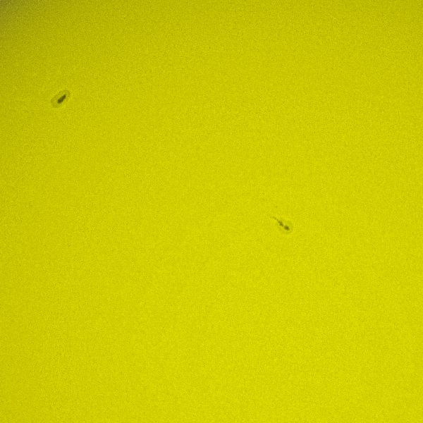 Sunspots on May 9, 2019 - Astrophotography