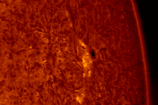 2020.10.24 Sun AR12776 H-Alpha (color) - Astrophotography