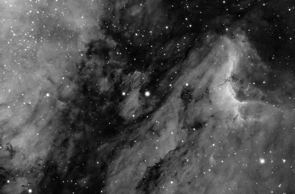 Pelican, fragment - Astrophotography