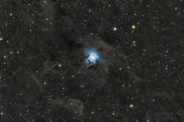 NGC 7023 Iris Nebula - Astrophotography