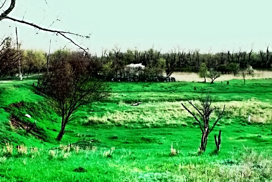 Summer in my city. - Astrophotography