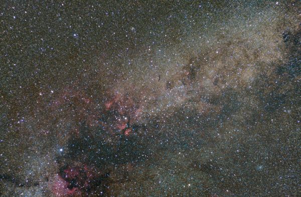Cygnus - Astrophotography