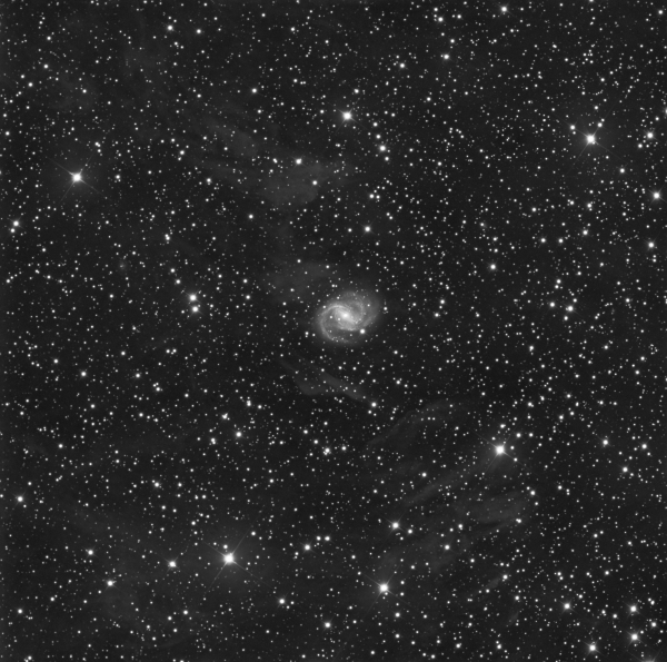 NGC2841 - Astrophotography
