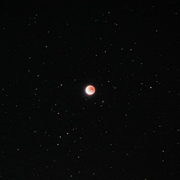 Bloody Moon ( magnitude 1.08 ) - Astrophotography