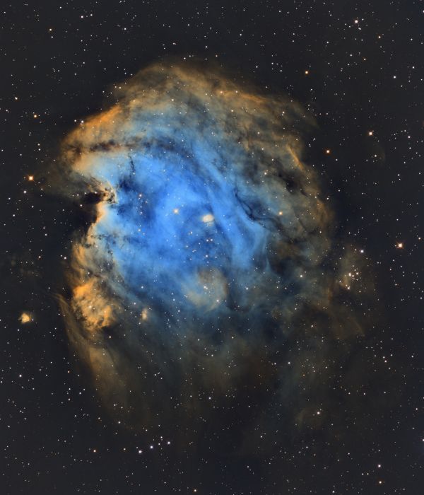 Monkey Nebula SHO - Astrophotography