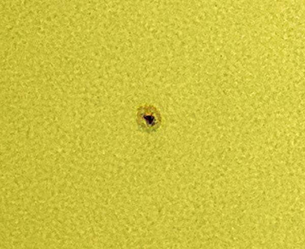 Solar Activity 25.07.2020 - Astrophotography