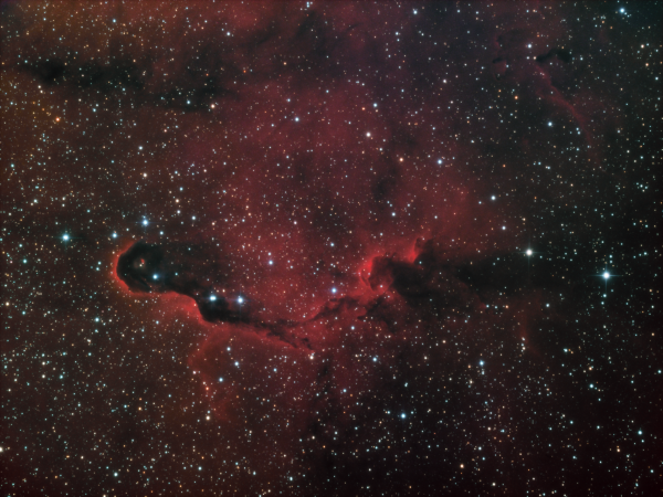 IC1396 HORGB Elephant Trunk - Astrophotography