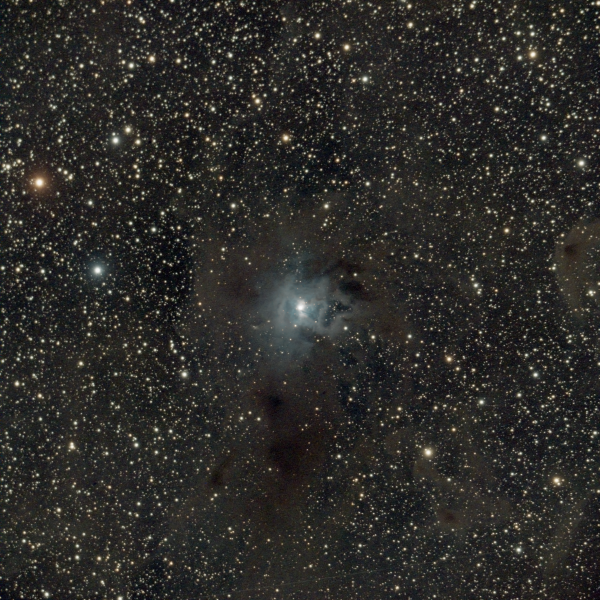 NGC 7023 (Iris Nebula) - Astrophotography