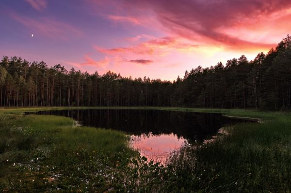 Moonset 07.2025 - Astrophotography