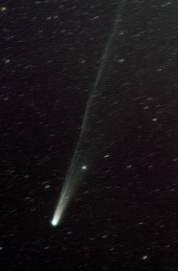 C/2025 A6 (Lemmon) - Astrophotography