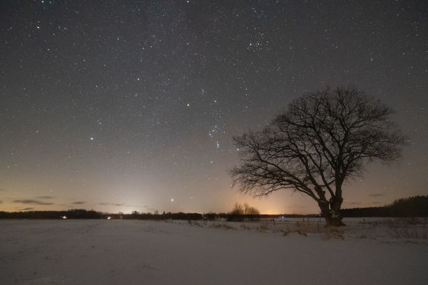 The rise of Orion - Astrophotography
