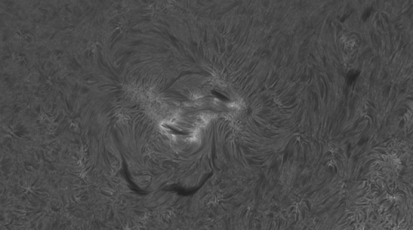 Sun June 12, 2025 animation for 18min. - Astrophotography