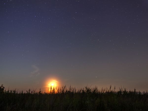 The Pleiades, a waning Moon, and Mars - Astrophotography