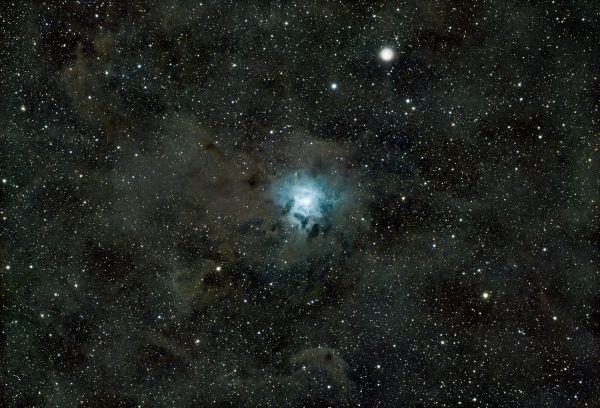 NGC7023 Iris Nebula - Astrophotography