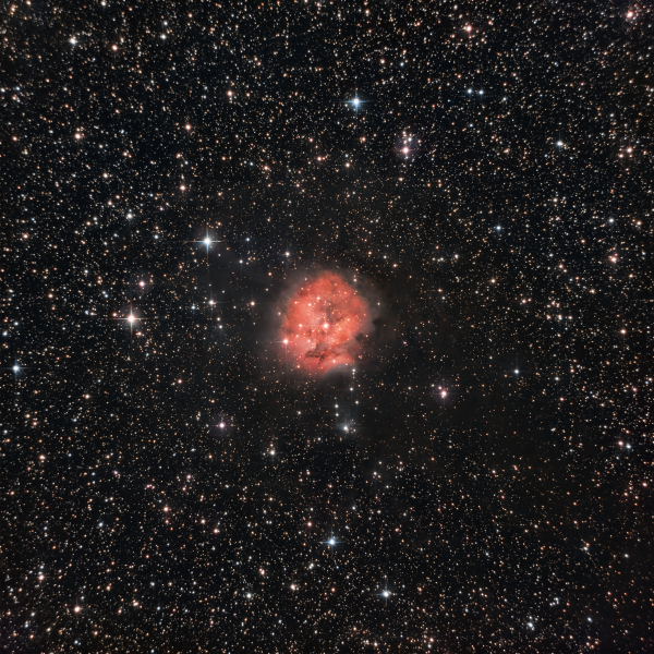 C19 - Cocoon Nebula - Astrophotography