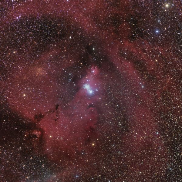 Christmas Tree Cluster (NGC 2264, Cone Nebula) - Astrophotography