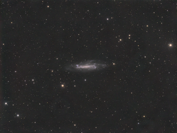 NGC 4236 in Draco - Astrophotography