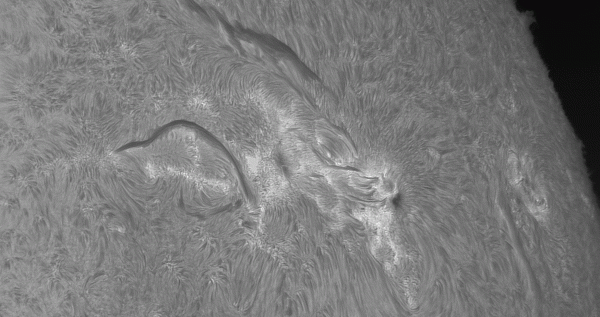 Life of an active region in half an hour 13-06-2025 - Astrophotography